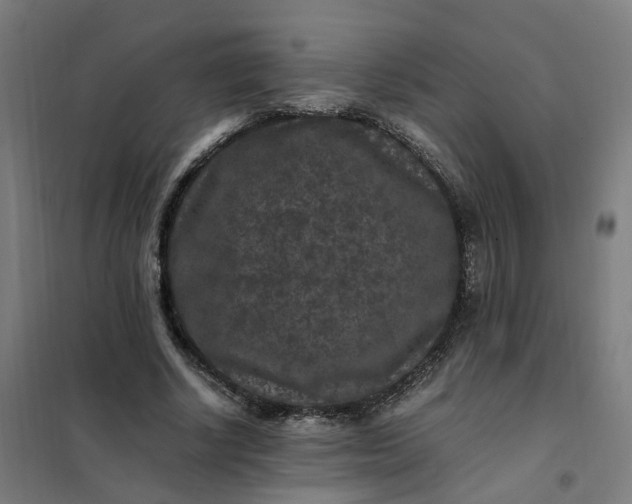 X0000101710634200807241457