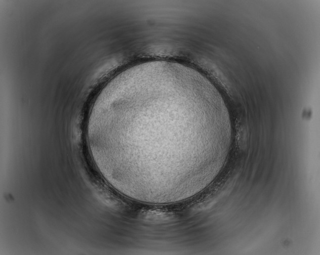 X0000101710635200807241457