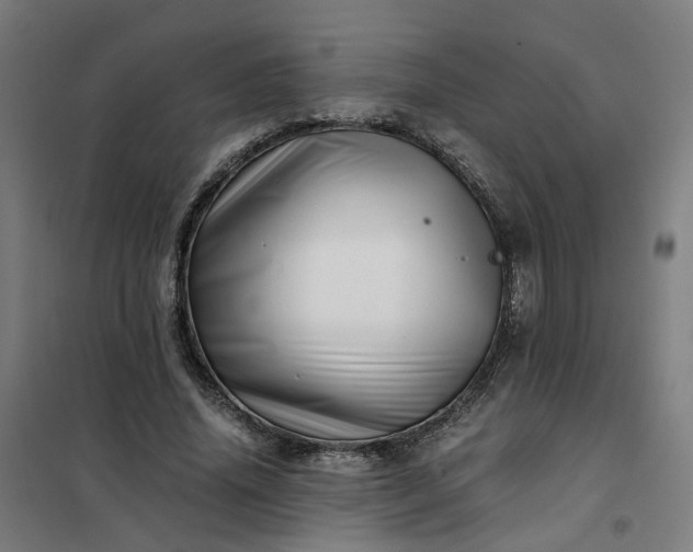 X0000101710636200807241457