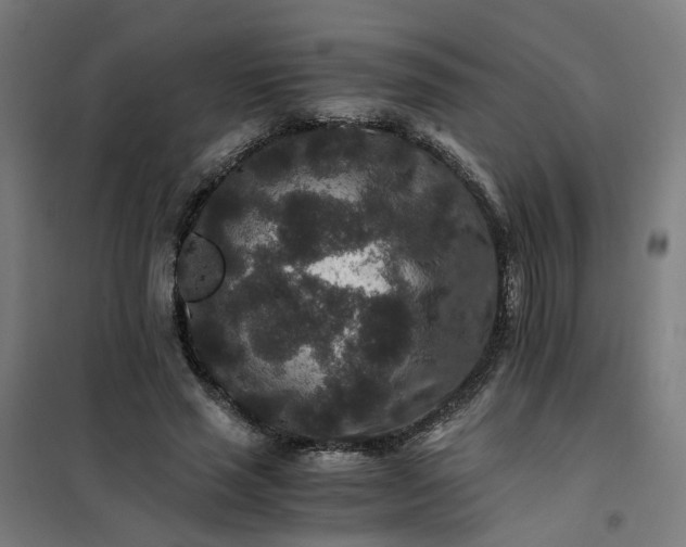 X0000101710637200807241457