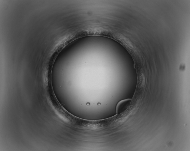 X0000101710638200807241457