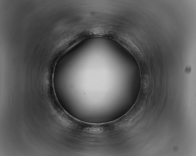 X0000101710639200807241457