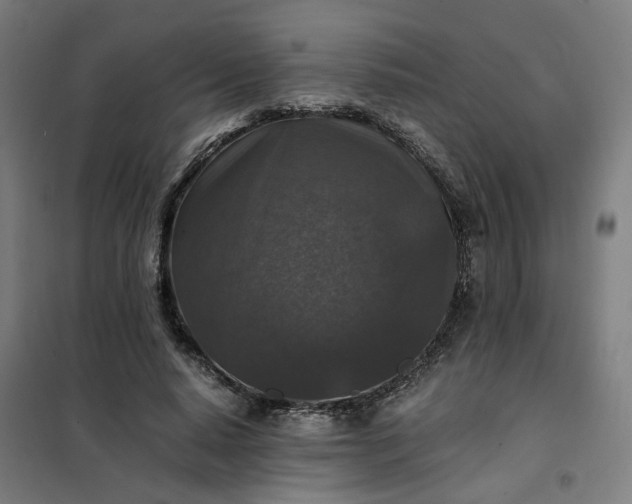 X0000101710640200807241457