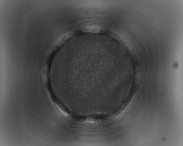 X0000101710641200807241457