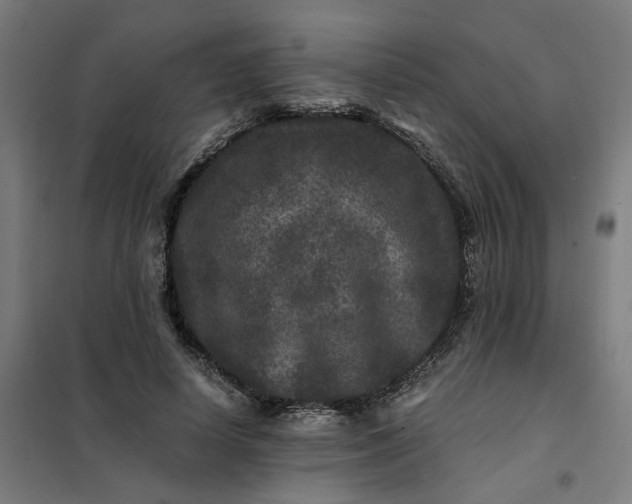 X0000101710642200807241457