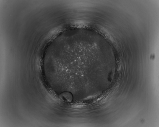 X0000101710643200807241457