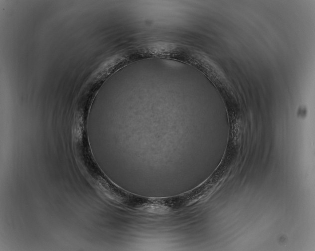 X0000101710644200807241457