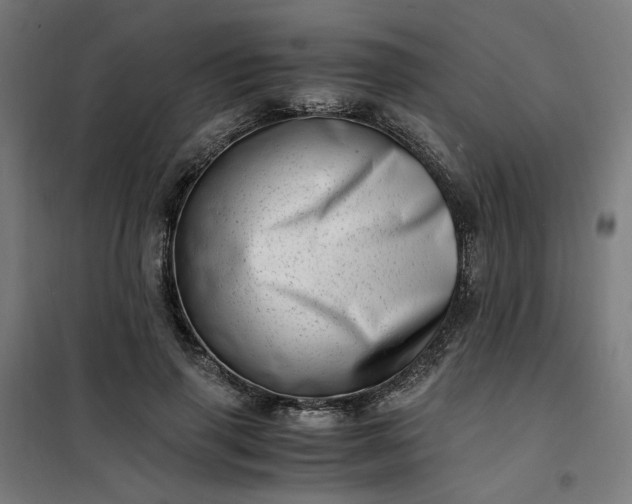 X0000101710645200807241457