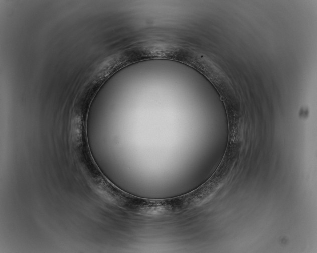 X0000101710646200807241457