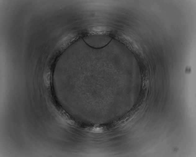 X0000101710647200807241457