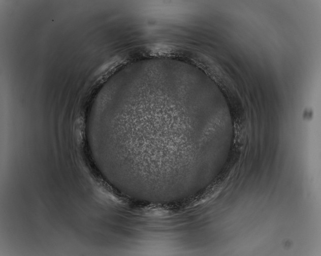 X0000101710648200807241457