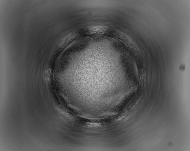 X0000101710649200807241457