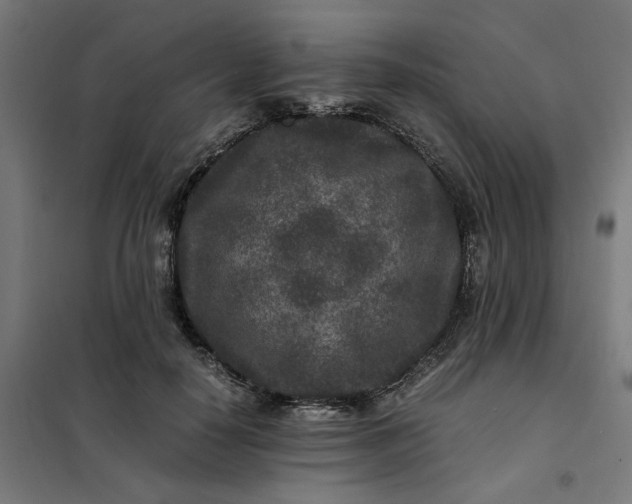 X0000101710650200807241457