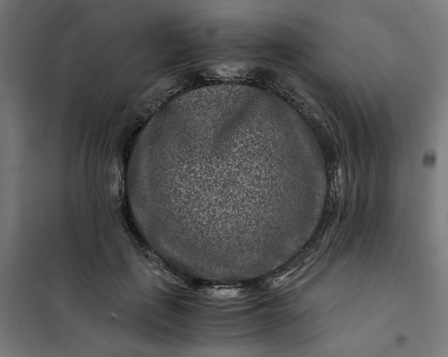 X0000101710651200807241457