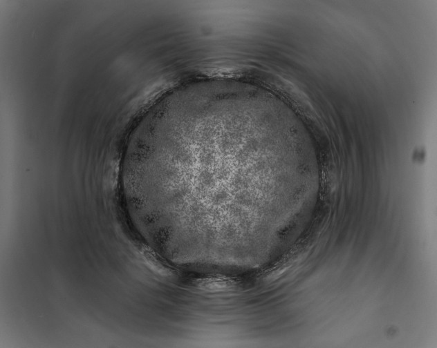 X0000101710652200807241457