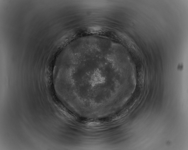 X0000101710653200807241457