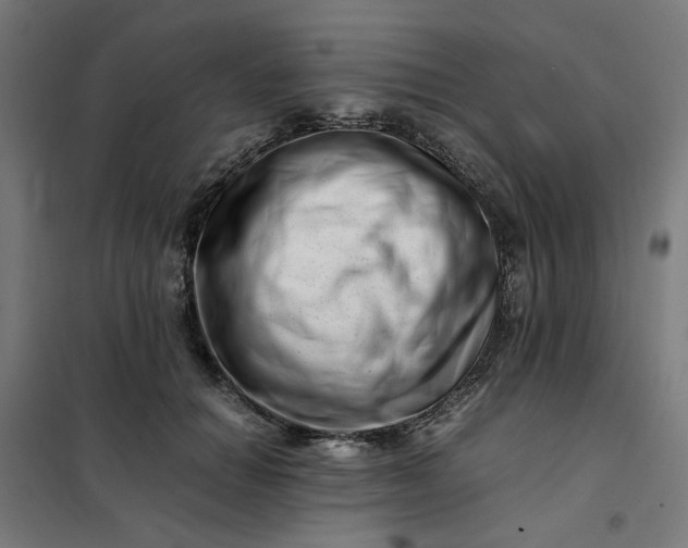 X0000101710654200807241457