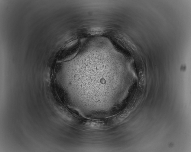 X0000101710655200807241457