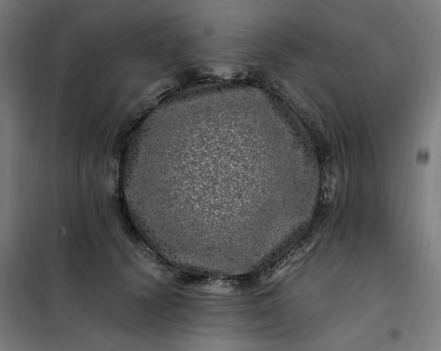 X0000101710656200807241457