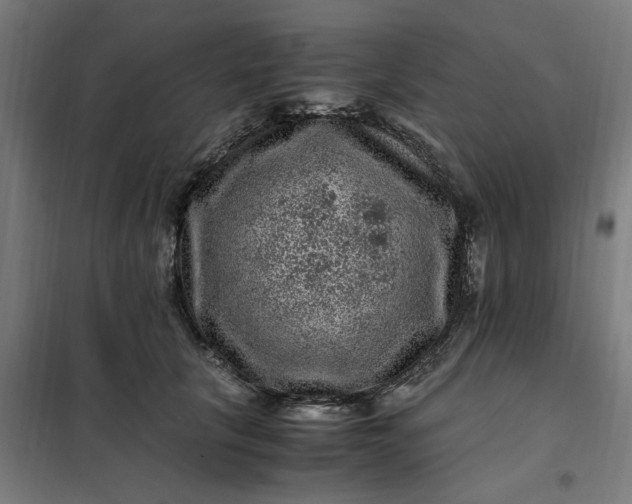 X0000101710657200807241457