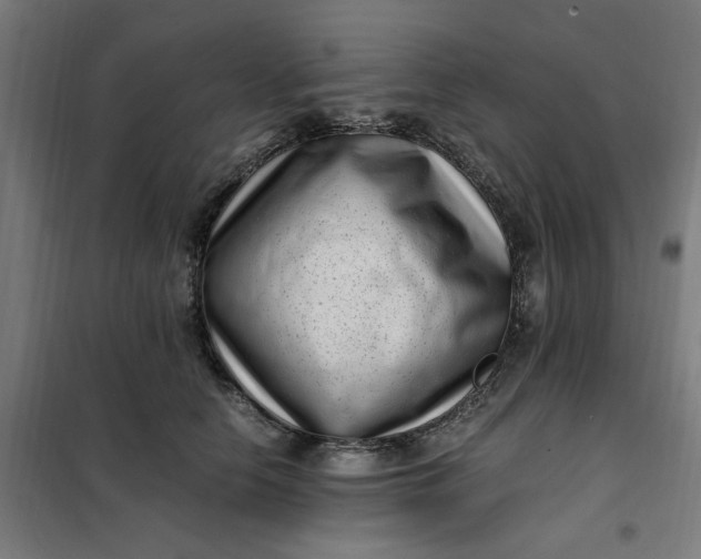 X0000101710658200807241457