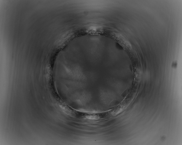 X0000101710659200807241457