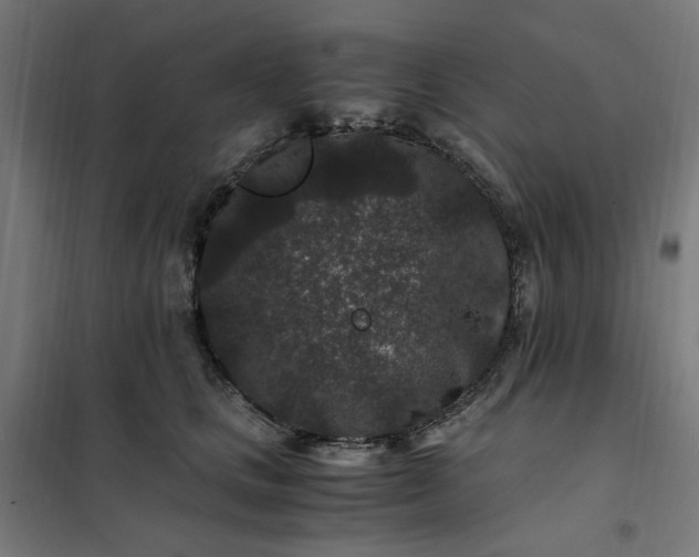 X0000101710661200807241457