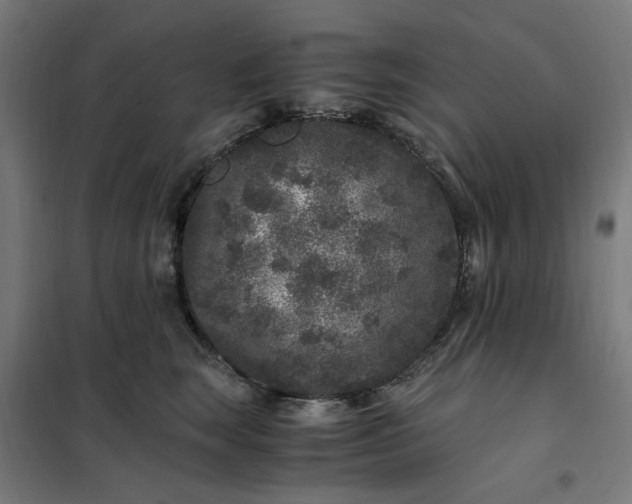 X0000101710663200807241457