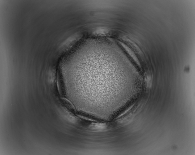 X0000101710665200807241457