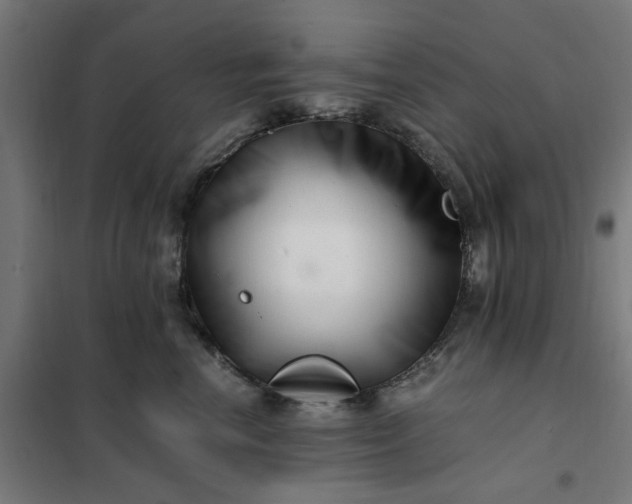 X0000101710666200807241457