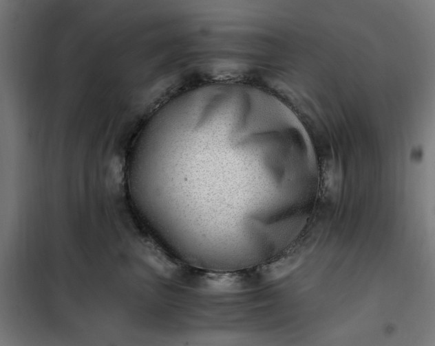 X0000101710667200807241457