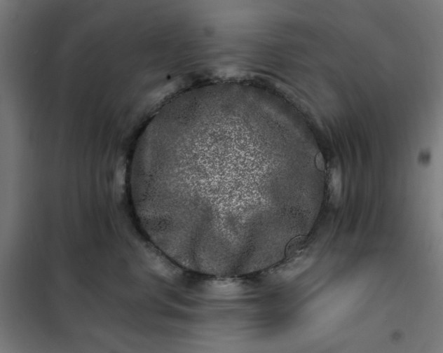 X0000101710668200807241457