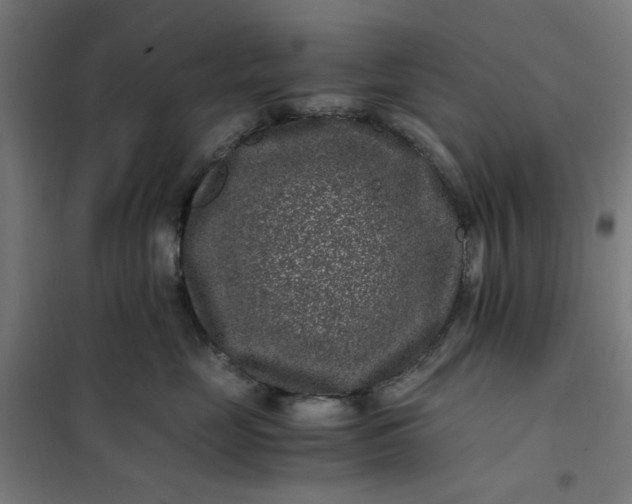 X0000101710669200807241457