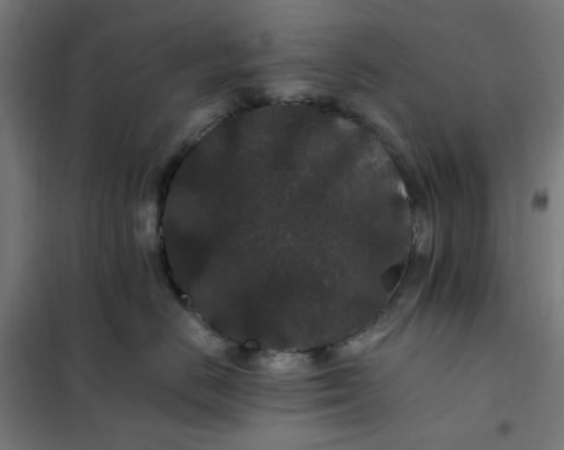 X0000101710670200807241457