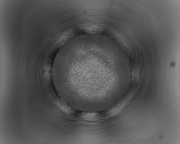 X0000101710671200807241457