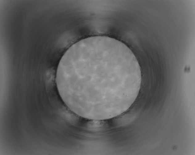 X0000101710672200807241457