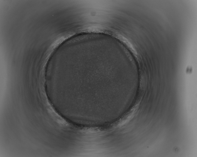 X0000101710673200807241456