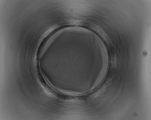 X0000101710674200807241456