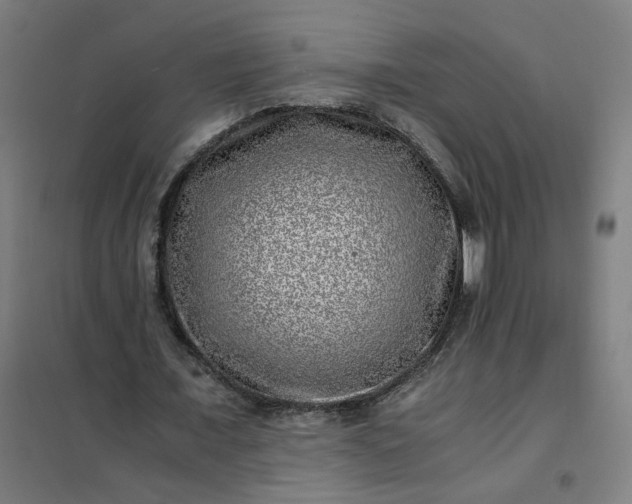 X0000101710675200807241456