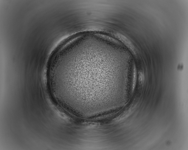 X0000101710676200807241456