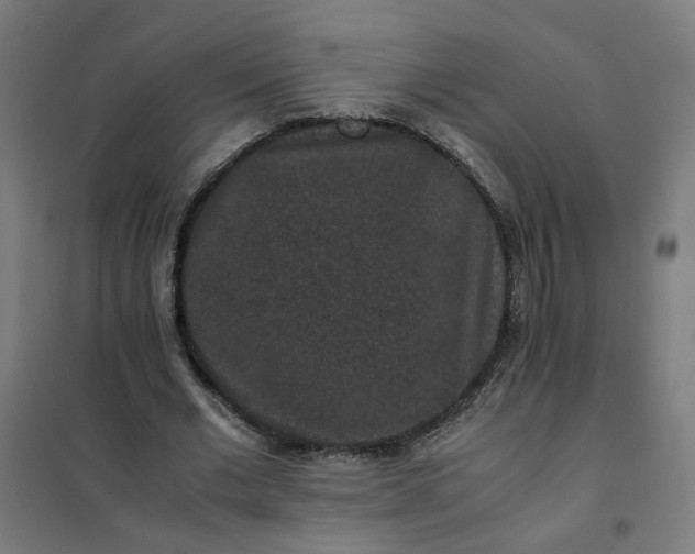 X0000101710677200807241456