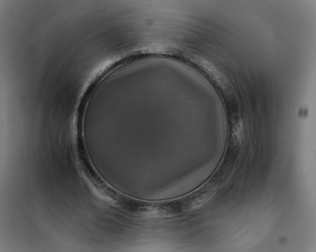 X0000101710678200807241456