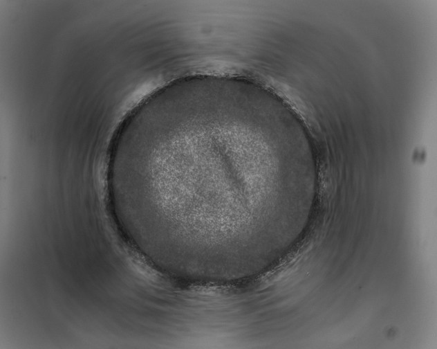 X0000101710679200807241456