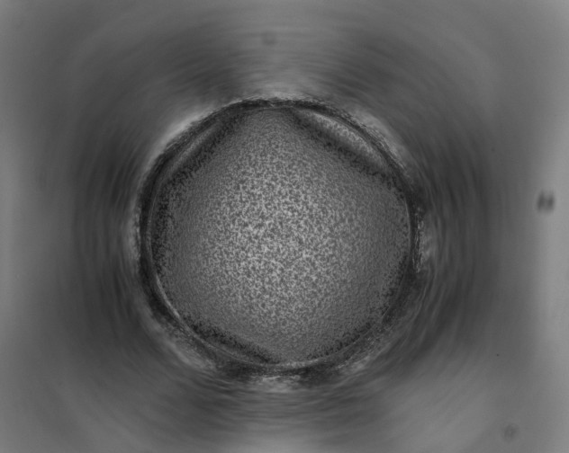 X0000101710680200807241456