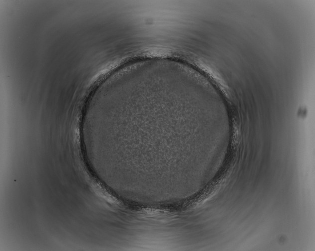 X0000101710681200807241456