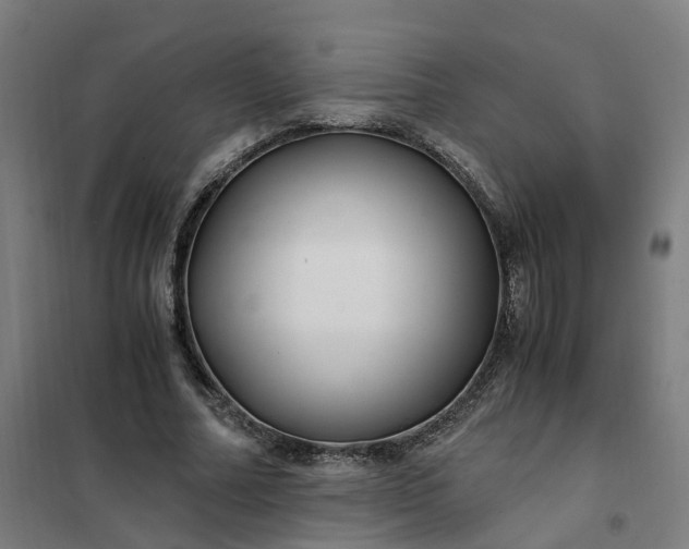 X0000101710682200807241456