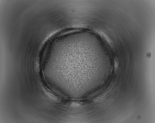 X0000101710684200807241456