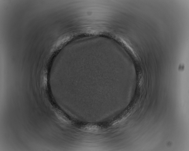 X0000101710685200807241456