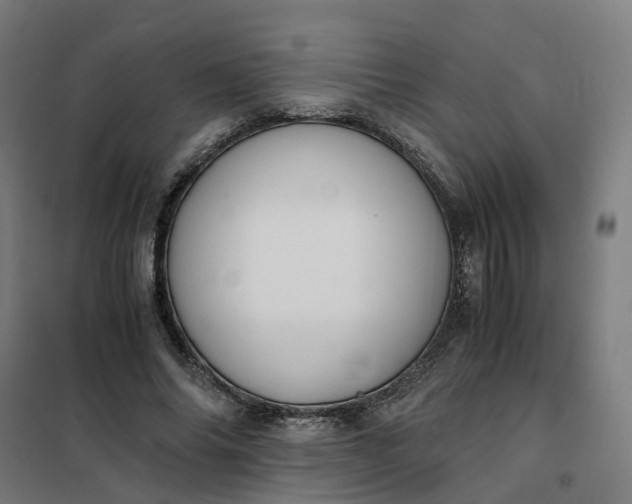 X0000101710686200807241456