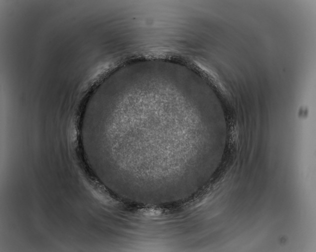 X0000101710687200807241456